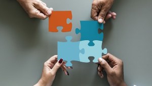 ¿Nos ponemos de acuerdo? Cómo tomar decisiones colectivas con ayuda de la ciencia