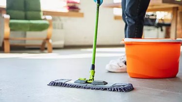 Empleadas de casas particulares