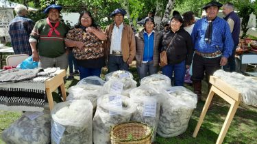 Textiles. Es una de las temáticas abarcadas por el impulso al desarrollo de proyectos.