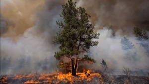 Combatiendo el fuego con fuego