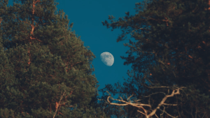 Aunque parece más grande en el horizonte, la Luna no varía su tamaño: cómo podés comprobarlo