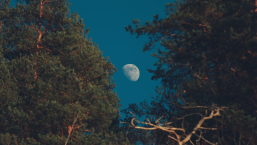 Cómo funciona el fenómeno de la ilusión lunar. Crédito: Foto de Efrem Efre para Pexels.