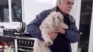 Video: Emocionante reencuentro del perro «Manchi» con su dueño en Fernández Oro