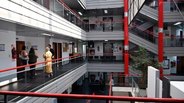 En Río Negro todas las actividades del Poder Judicial serán con perspectivas de género