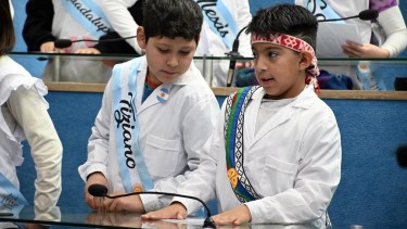La promesa de los alumnos fue en el recinto de las Legislatura de Río Negro. Foto: Marcelo Ochoa.