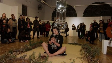 Con la cultura mapuche como eje reúnen varias obras artísticas en Neuquén. foto: Oscar Livera