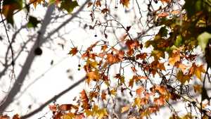 ¡A abrigarse! Se viene el frío a Neuquén y Río Negro este fin de semana