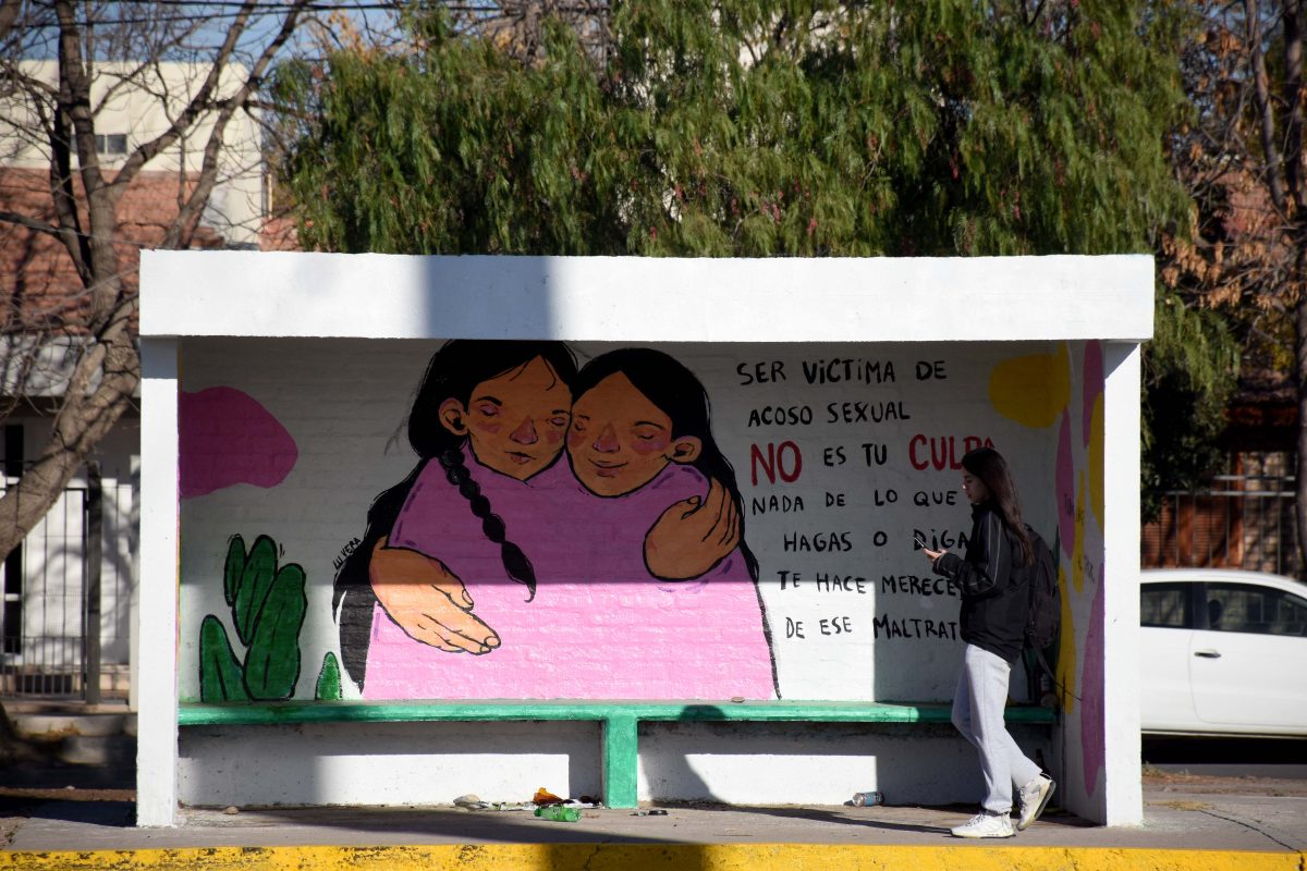 El trabajo abarcó 25 algomerados urbanos de 12 provincias. Se entrevistaron 12.152 mujeres. Foto Matías Subat.