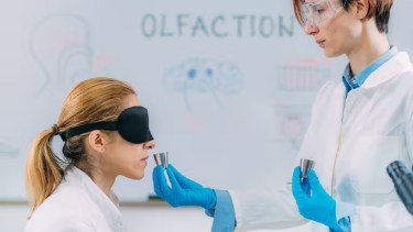 Microgen/Shutterstock