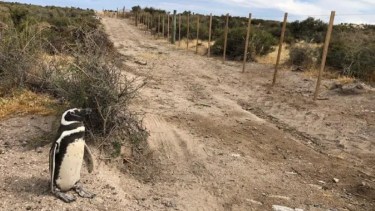 Imágenes de la tragedia que ocurrió en Chubut en 2021. 