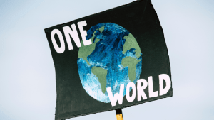 La ONU versus el greenwashing: qué es el “maquillaje verde”, cómo identificarlo y cómo se lo regula