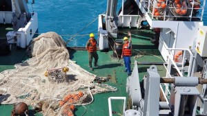 Preparan medidas para paliar la crisis pesquera en el Golfo San Matías