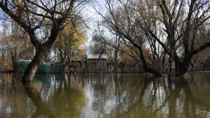 Crecida del río Neuquén: aseguran que son cerca de 50 los evacuados en territorio neuquino