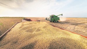 El dólar soja alcanzó el objetivo de los US$ 5.000 millones