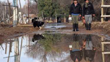 El río Neuquén mordió las casas en Costa de Reyes y los crianceros sufren por sus animales
