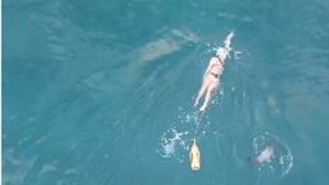 Salió a nadar en invierno y en un video capturó un momento mágico en Puerto Madryn
