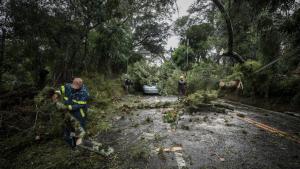 Brasil: el ciclón extratropical deja un muerto, destrucción y 800.000 hogares sin luz