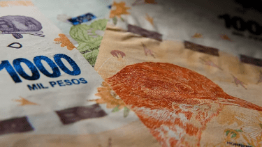 Anses continúa esta semana con el cronograma de pagos para las distintas prestaciones. 