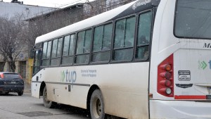 Transporte gratuito para el domingo electoral en Bariloche