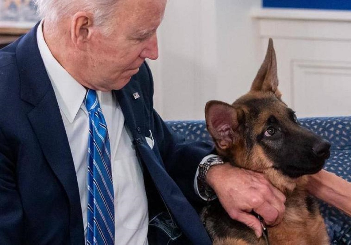 Un perro de Joe Biden tiene atemorizado a los trabajadores de la Casa Blanca.