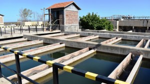 Denuncian manchas aceitosas en la toma de agua de Cutral Co y Plaza Huincul