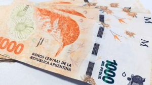 Empleadas domésticas pueden acceder a un préstamo de hasta 200 mil pesos con estos tres requisitos