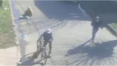 Vecinos de Alejandro Korn atraparon a un hombre que robaba en bicicleta: «Le dimos unos toques»