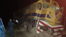 Imagen de Descarriló el Tren Patagónico cerca de San Antonio Oeste: un toro se cruzó en las vías