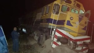 Descarriló el Tren Patagónico cerca de San Antonio Oeste: un toro se cruzó en las vías