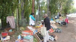Auge de ferias y mercados en la Patagonia: un recorrido por la Comarca Andina
