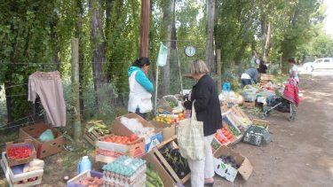 Ferias y mercados. Promueven los vínculos directos con consumidores.