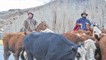 Desde hace siglos se hace esta actividad, que es sustento y tradición.
