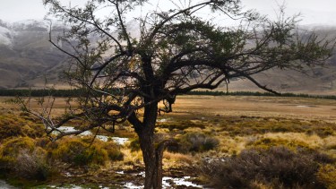 Un antídoto contra el invierno de nuestros descontentos