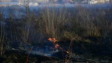 La Ruta 22 se tiñó de gris debido a un incendio en una chacra de Roca