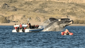 Feriados 2023: agosto traerá un fin de semana largo