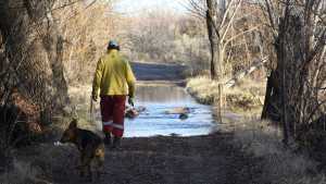 Crecida: El río Neuquén bajará levemente hacia fin de mes