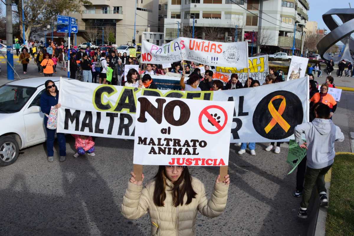 Organizaciones de Río Negro y Nenquén se movilizaron en contra del maltrato animal. Foto: Andres Maripe.