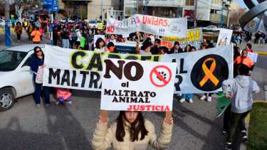 Organizaciones de Río Negro y Nenquén se movilizaron en contra del maltrato animal. Foto: Andres Maripe.