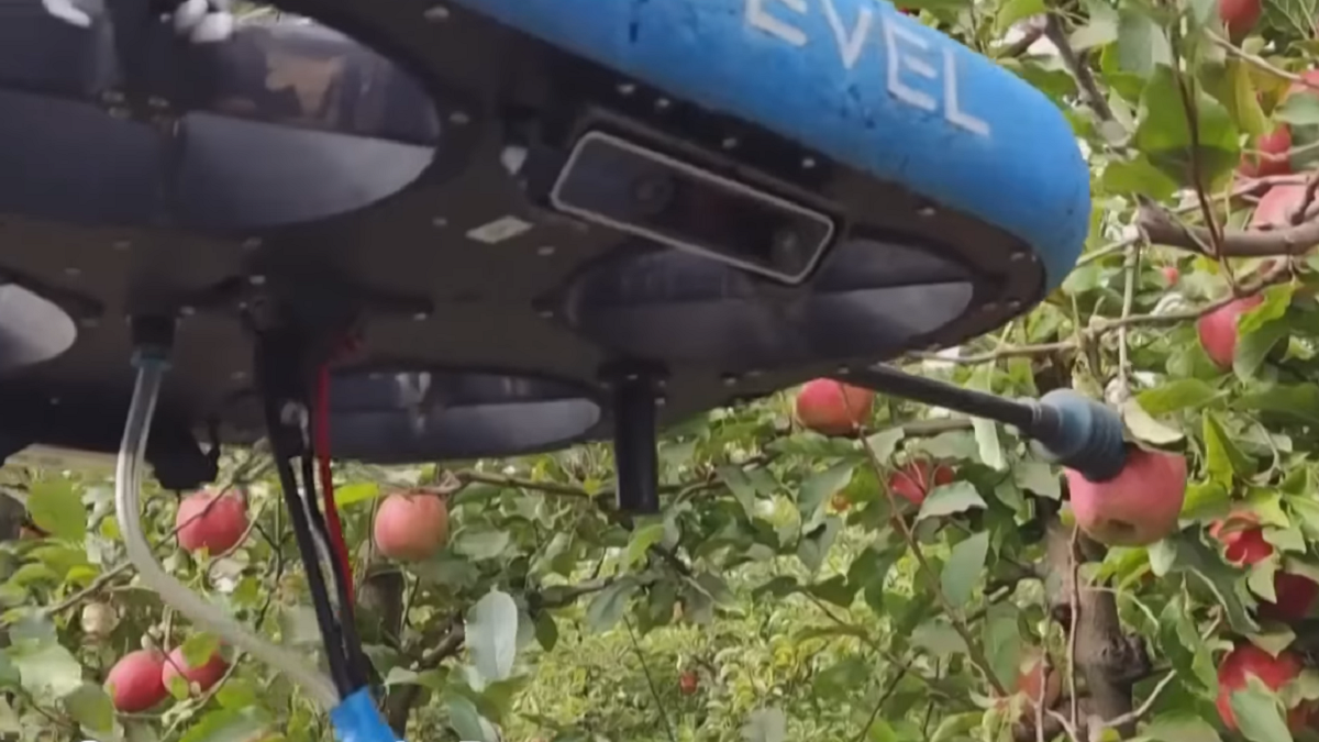 Los drones cosechadores de frutas podrían revolucionar la fruticultura del Alto Valle.