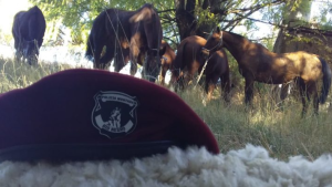 Jefe policial de Roca acusado por administración fraudulenta por llevarse gasoil de la comisaría