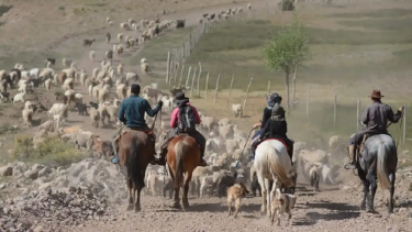 Martín Muñoz lo filmó cuando crianceros cruzaban con sus animales hacia las tierras de veranada. Foto Archivo.