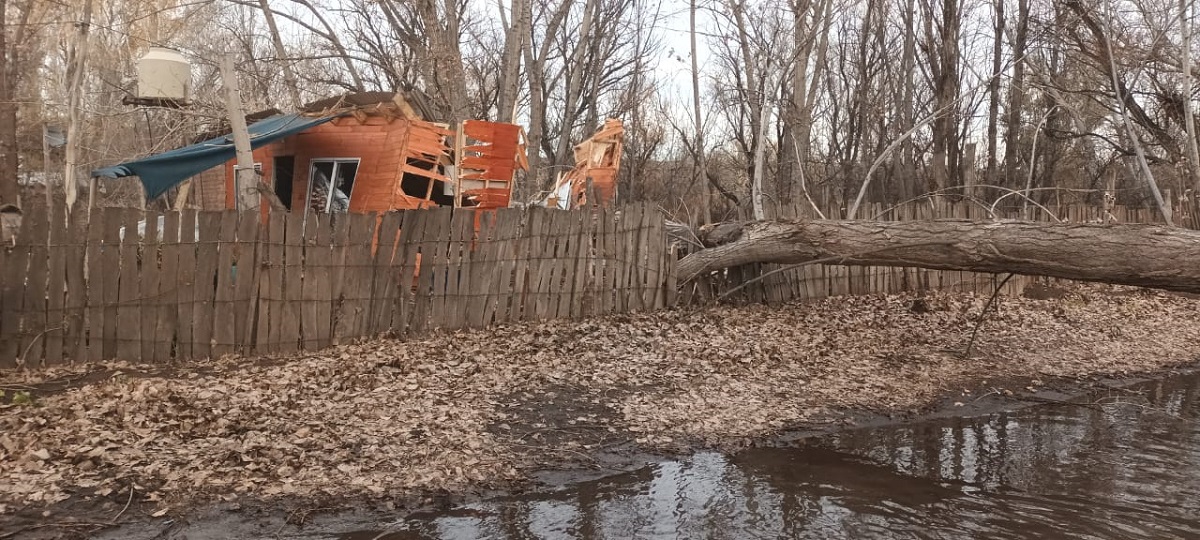 Un árbol cayó y destruyó una vivienda en Cipolletti durante la crecida del río. Foto Archivo.. 
