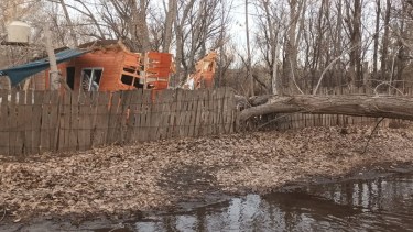 Un árbol cayó y destruyó una vivienda en Cipolletti durante la crecida del río. Foto Archivo.. 