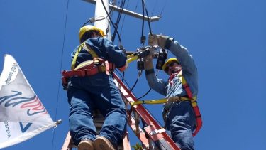 Los robos ya generaron perjuicios por más de 130 millones de pesos. Foto gentileza
