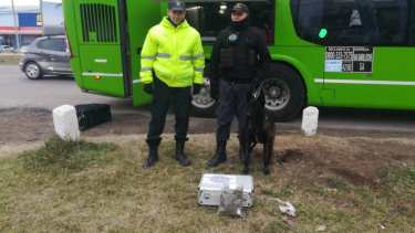 Intervino en el procedimiento el equipo de la policía de Río Negro y el can "Iker". Foto: Gentileza.