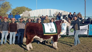 La  cabaña "La Txapela" participará de la Expo Rural que se pondrá en marcha este jueves en Palermo.