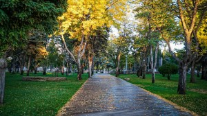 Zapala, un municipio comprometido con el medio ambiente