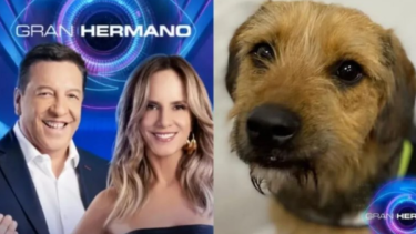 Acusan que hay maltrato animal, en Gran Hermano Chile.  Foto: NA