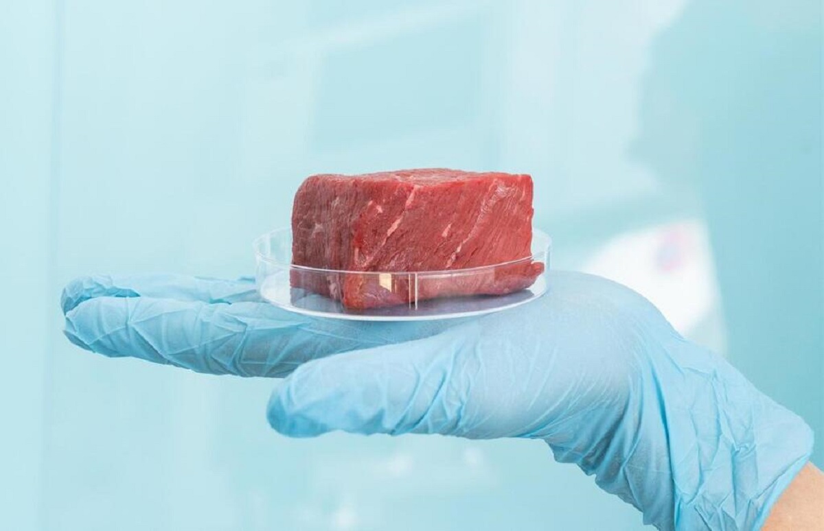 Qué opinan los expertos sobre las carnes cultivadas artificialmente. 