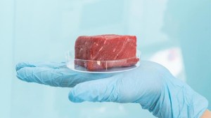 Boom de la carne cultivada: qué es y qué sabemos sobre su seguridad para la salud y el ambiente